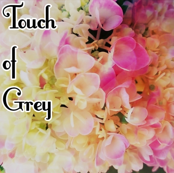 Info - Picture 1 of 1